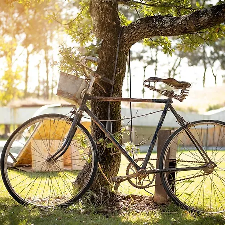 Εξοχικό σπίτι Rio Do Prado
